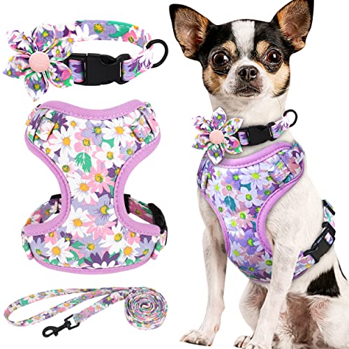 Beirui Set mit Halsbändern, Geschirre und Leinen für Mädchen, verstellbares Hundehalsband und Leine, Set mit Blume, weiches Netzgewebe, für Welpen, kleine und extra kleine Hunde, Katzen (Lila, Größe Beirui Set mit Halsbändern, Geschirre und Leinen für Mädchen, verstellbares Hundehalsband und Leine, Set mit Blume, weiches Netzgewebe, für Welpen, kleine und extra kleine Hunde, Katzen (Lila, Größe von Beirui