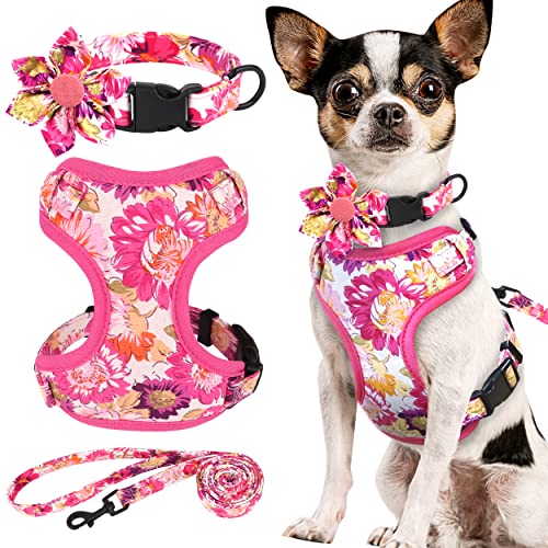 Beirui Set mit Halsbändern, Geschirre und Leinen für Mädchen, verstellbares Hundehalsband und Leine, Set mit Blume, weiches Netzgewebe, für Welpen, kleine und extra kleine Hunde, Katzen (Rosa, Größe Beirui Set mit Halsbändern, Geschirre und Leinen für Mädchen, verstellbares Hundehalsband und Leine, Set mit Blume, weiches Netzgewebe, für Welpen, kleine und extra kleine Hunde, Katzen (Rosa, Größe von Beirui