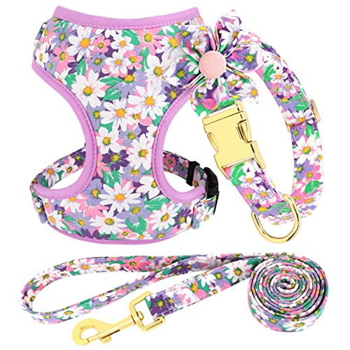 Beirui Set mit Halsbändern, Geschirre und Leinen für Mädchen, verstellbares Hundehalsband und Leine, Set mit Blume, weiches Netzgewebe für Welpen, kleine, mittelgroße Hunde (lila, M) von Beirui
