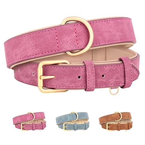 Beirui Weich gepolstertes Leder-Hundehalsband für Hunde,bequem,strapazierfähig,für kleine,mittelgroße und große Hunde,Lederhalsband mit hochwertigen Legierungsbeschlägen für den täglichen,Rosa,L Beirui Weich gepolstertes Leder-Hundehalsband für Hunde,bequem,strapazierfähig,für kleine,mittelgroße und große Hunde,Lederhalsband mit hochwertigen Legierungsbeschlägen für den täglichen,Rosa,L von Beirui