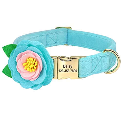 Beirui Weiches Samt-Hundehalsband mit abnehmbarem Blumen-Zubehör – personalisiertes, süßes Hundehalsband mit Namensschild – Bezauberndes Halsband für kleine, mittelgroße und große Hunde (blau, M) von Beirui