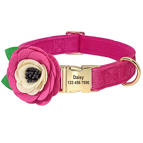 Beirui Weiches Samt-Hundehalsband mit abnehmbarem Blumen-Zubehör – personalisiertes süßes Hundehalsband mit Namensschild – Bezauberndes Halsband für kleine, mittelgroße und große Hunde (Hot Pink, L) Beirui Weiches Samt-Hundehalsband mit abnehmbarem Blumen-Zubehör – personalisiertes süßes Hundehalsband mit Namensschild – Bezauberndes Halsband für kleine, mittelgroße und große Hunde (Hot Pink, L) von Beirui