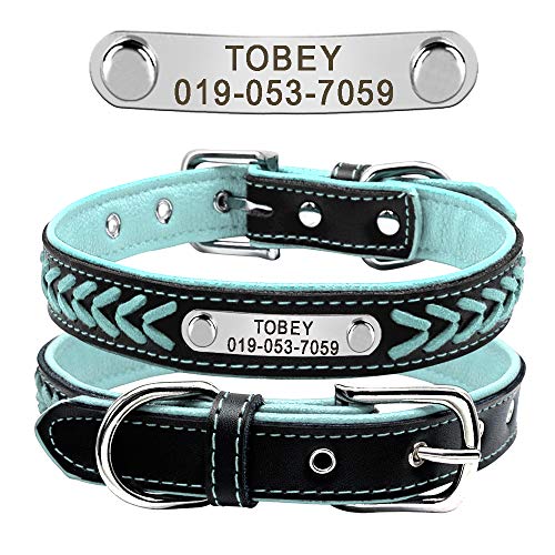 Berry Adjustable Leather Padded Custom Pet Dog Collars with Engraved Nameplate,Fit Cats and Small Medium Dogs (M: Neck 12-15.5" (30-39cm), Blau) von Beirui
