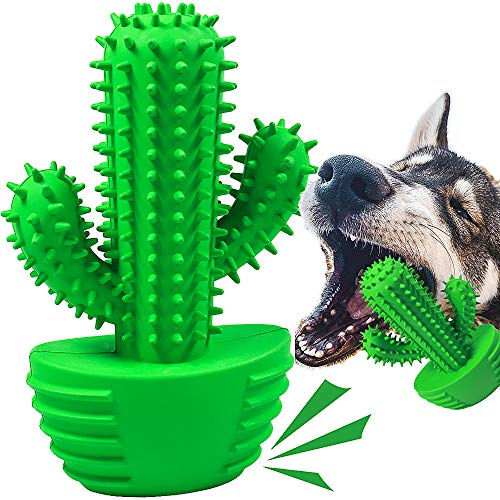 Kauspielzeug für Hunde, Zahnbürste, Zahnreinigungsspielzeug für Welpen, Zahnbürste, Zahnpflege für Haustiere von Beisile