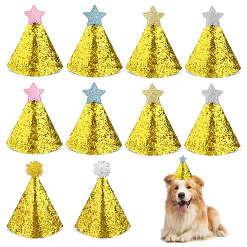 10 Stück Bekecidi Mini-Stern-Perlenball-Partyhüte, Hunde-Geburtstagshut, sternförmiger Hundehut, Partyzubehör für Welpen, Kätzchen, Kaninchen, festliche Haustier-Kostüme 10 Stück Bekecidi Mini-Stern-Perlenball-Partyhüte, Hunde-Geburtstagshut, sternförmiger Hundehut, Partyzubehör für Welpen, Kätzchen, Kaninchen, festliche Haustier-Kostüme von Bekecidi