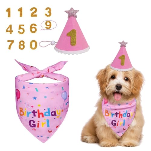 Bekecidi Hunde-Geburtstags-Halstuch und Hut-Set, Partyhut, Dreieckstuch mit Glitzer-Zahlen, für Geburtstagskuchen, Party-Dekorationen, Haustier-Outfits für Hunde, Welpen, Geschenke (Rosa) von Bekecidi