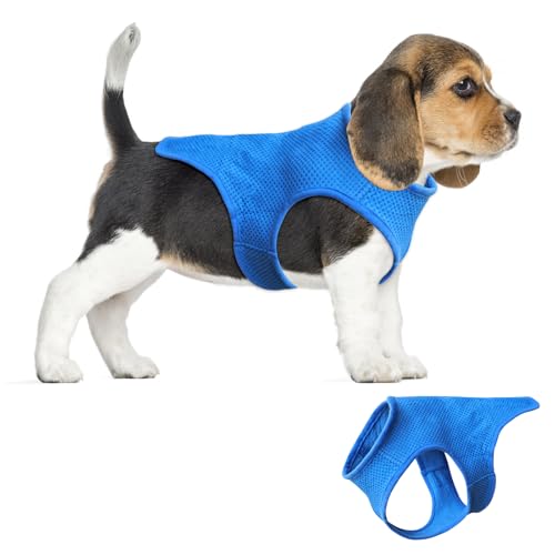 Bekecidi Kühlweste für Hunde, atmungsaktiver Kühlmantel, Kühljacke für Hunde, Haustier-Eisweste für Sommer, Outdoor, Wandern, Training, Größe M Bekecidi Kühlweste für Hunde, atmungsaktiver Kühlmantel, Kühljacke für Hunde, Haustier-Eisweste für Sommer, Outdoor, Wandern, Training, Größe M von Bekecidi