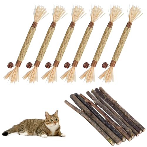 Bekecidi Natürliches Kauspielzeug für Katzen – Set mit 36 Stück Katzenminze für Zahn, Zahngesundheit, Stressabbau, ideal für Katzen und Kätzchen, die von Bekecidi
