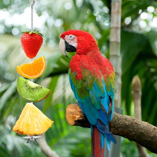 Bekecidi Papageienspieß, Futterspieß, Edelstahl, für Vögel, Gemüse, Papageien, Leckereien, Stäbchen, Obstfutterhalter, Vogelfutter-Spielzeug, hängendes Futterwerkzeug für Wellensittiche, Papageien, Bekecidi Papageienspieß, Futterspieß, Edelstahl, für Vögel, Gemüse, Papageien, Leckereien, Stäbchen, Obstfutterhalter, Vogelfutter-Spielzeug, hängendes Futterwerkzeug für Wellensittiche, Papageien, von Bekecidi