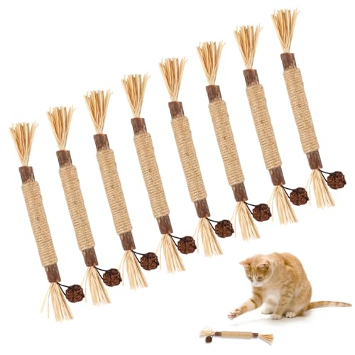 Bekecidi-Set mit 8 Kaustäbchen für Haustiere, Premium-Katzenminze-Spielzeug, natürliche Zahnhygiene, Spaß für Kätzchen, Stressabbau, biologisch und sicher, Silvervine-Kaustäbchen für Katzen von Bekecidi