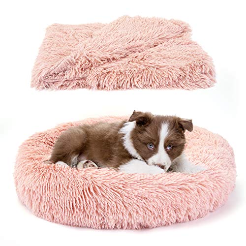 Belababy Beruhigendes Hunde- und Katzen-Donut-Bett mit Decke, großes, waschbares Hundebett mit flauschigem, rundem Kuschel, weichem Plüsch, Bett 71.1 cm, Decke 81.3x101.6 cm) von Belababy