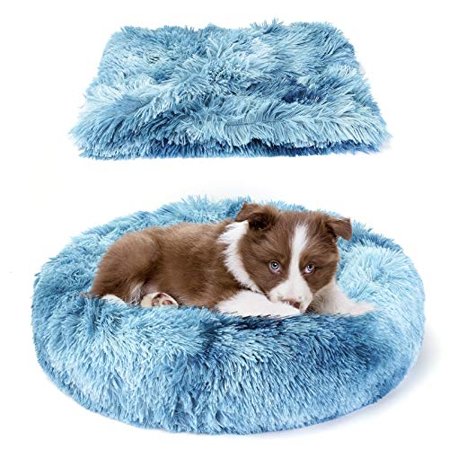 Belababy Beruhigendes Hunde- und Katzen-Donut-Bett mit Decke, XS, waschbar, mit flauschigem, rundem Kuschel, weichem Plüsch, Bett 40.6 cm, Decke 50.8x71.1 cm cm) von Belababy