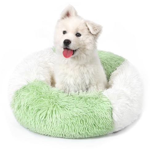Belababy Donut-Hundebett mit abnehmbarem Bezug, waschbares Hunde- und Katzenbett für kleine, mittelgroße Hunde, beruhigendes Haustier-Welpenbett und flauschiger Plüsch-Kuscheltier mit rutschfester von Belababy