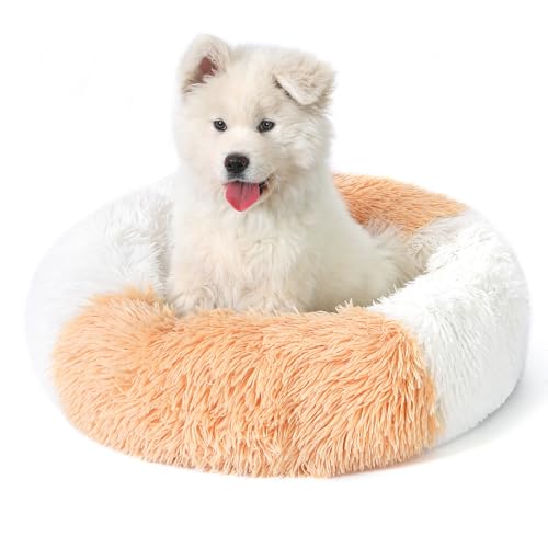 Belababy Donut-Hundebett mit abnehmbarem Bezug, waschbares Anti-Angst-Hunde- und Katzenbett für kleine, mittelgroße Hunde, beruhigendes Haustier-Welpenbett und flauschiger Plüsch-Kuscheltier mit von Belababy