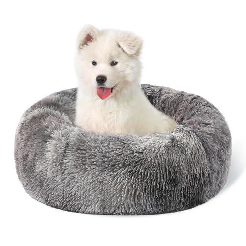Belababy Donut-Hundebett mit abnehmbarem Bezug, waschbares Hunde- und Katzenbett für kleine, mittelgroße Hunde, beruhigendes Haustier-Welpenbett und flauschiger Plüsch-Kuscheltier mit rutschfester Belababy Donut-Hundebett mit abnehmbarem Bezug, waschbares Hunde- und Katzenbett für kleine, mittelgroße Hunde, beruhigendes Haustier-Welpenbett und flauschiger Plüsch-Kuscheltier mit rutschfester von Belababy