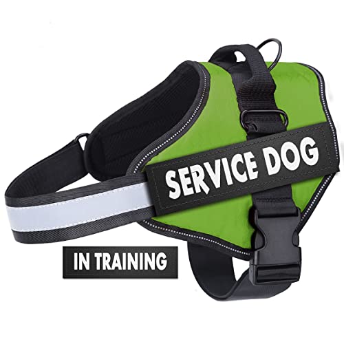 Belababy Hundegeschirr No-Pull Atmungsaktiv Verstellbar Walking Training Hilfe Brust Outdoor Einfache Kontrolle für Mittelgroße Kleine Hunde S Grün Hundeweste Geschirr von Belababy