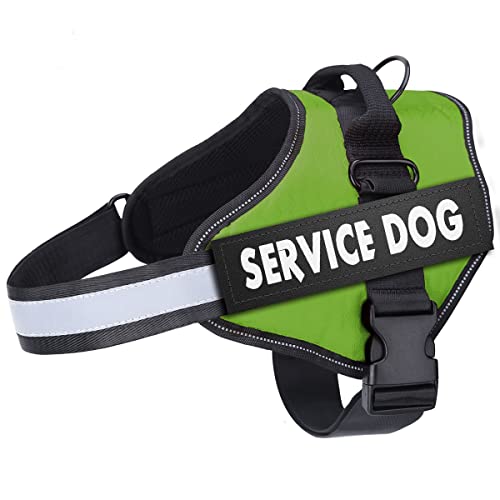 Belababy Hundegeschirr No-Pull Atmungsaktiv Verstellbar Walking Training Hilfe Brust Outdoor Einfache Kontrolle für Mittelgroße Kleine Hunde XS Grün Hundeweste Geschirr von Belababy