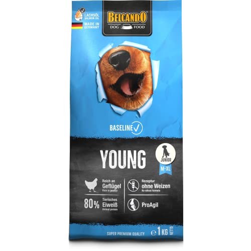 BELCANDO Baseline Young [1kg] Trockenfutter für Hunde | Alleinfuttermittel für Junge Hunde mittlerer und großer Rassen von Belcando