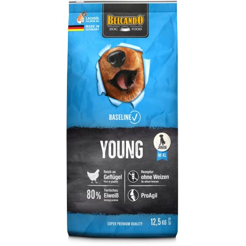 BELCANDO Baseline Young [12,5kg] Trockenfutter für Hunde | Alleinfuttermittel für Junge Hunde mittlerer und großer Rassen von Belcando