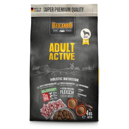 Belcando Adult Active [4 kg] Hundefutter | Trockenfutter für aktive Hunde & Sporthunde | Alleinfuttermittel für ausgewachsene Hunde ab 1 Jahr von Belcando