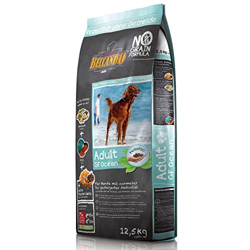 Belcando Hundefutter Adult GF Ocean 12,5 kg, Getreidefreies Futter für ausgewachsene Hunde ab 1 Jahr, Sortenreines Trockenfutter mit Proteinen von Meererstieren, Alleinfutter ohne Getreide von Belcando