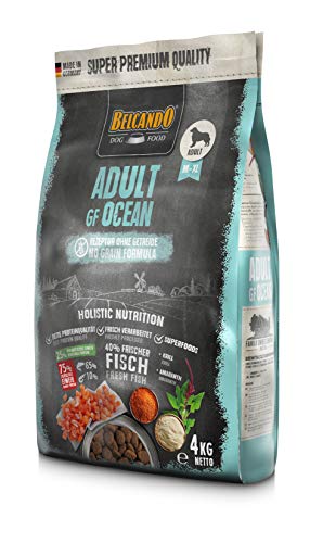 Belcando Adult GF Ocean [4 kg] getreidefreies Hundefutter | Sortenreines Trockenfutter ohne Getreide mit Fisch | Alleinfutter für ausgewachsene Hunde ab 1 Jahr von Belcando