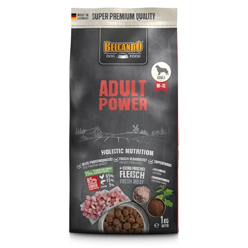 Belcando Adult Power Hundefutter | Trockenfutter für sehr aktive Hunde & Sporthunde | Alleinfuttermittel für ausgewachsene Hunde ab 1 Jahr (1 kg neu) von Belcando