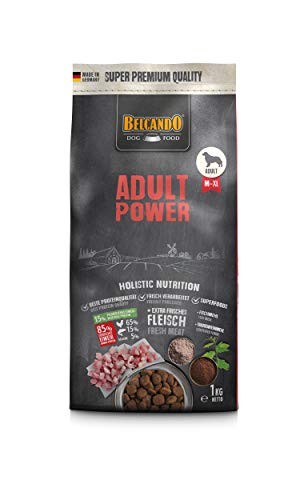 Belcando Adult Power Hundefutter | Trockenfutter für sehr aktive Hunde & Sporthunde | Alleinfuttermittel für ausgewachsene Hunde ab 1 Jahr (1 kg neu) von Belcando