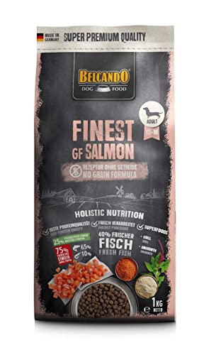 Belcando Finest GF Salmon [1 kg] getreidefreies Hundefutter | Trockenfutter für kleine & mittlere Hunde | Alleinfuttermittel für Hunde ab 1 Jahr von Belcando