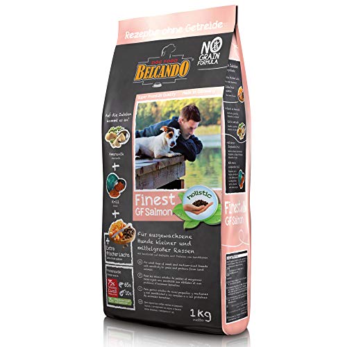 Belcando Finest GF Salmon [1 kg] getreidefreies Hundefutter | Trockenfutter für kleine & mittlere Hunde | Alleinfuttermittel für Hunde ab 1 Jahr von Belcando