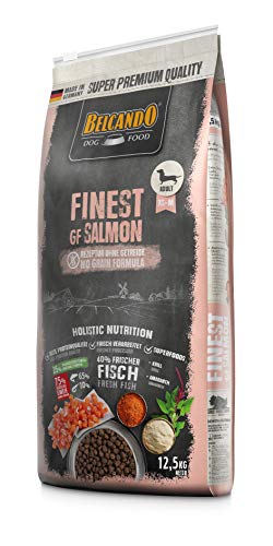 Belcando Finest GF Salmon [12,5 kg] getreidefreies Hundefutter | Trockenfutter für kleine & mittlere Hunde | Alleinfuttermittel für Hunde ab 1 Jahr von Belcando