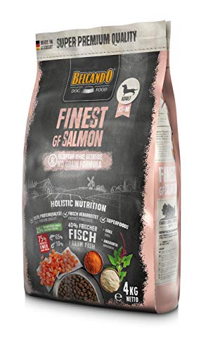 Belcando Finest GF Salmon [4 kg] getreidefreies Hundefutter | Trockenfutter für kleine & mittlere Hunde | Alleinfuttermittel für Hunde ab 1 Jahr von Belcando