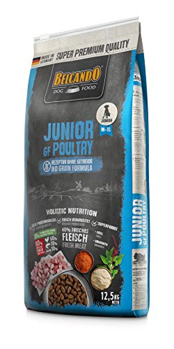 Belcando Junior GF Poultry [12,5 kg] getreidefreies Hundefutter | Trockenfutter ohne Getreide für Junge Hunde | Alleinfuttermittel für Hunde ab 4 Monaten von Belcando