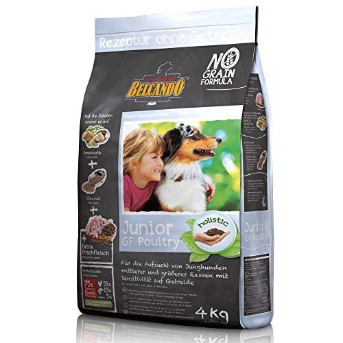 Belcando Junior GF Poultry [4 kg] getreidefreies Hundefutter | Trockenfutter ohne Getreide für Junge Hunde | Alleinfuttermittel für Hunde ab 4 Monaten von Belcando