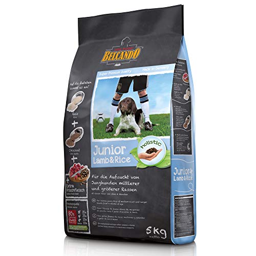 Belcando Junior Lamb & Rice [5 kg] Hundefutter | Trockenfutter für empfindliche Junghunde | Alleinfuttermittel für Junghunde ab 4 Monaten von Belcando