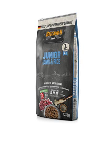 Belcando Junior Lamb & Rice [12,5 kg] Hundefutter | Trockenfutter für Junghunde | Alleinfuttermittel für Junghunde ab 4 Monaten von Belcando