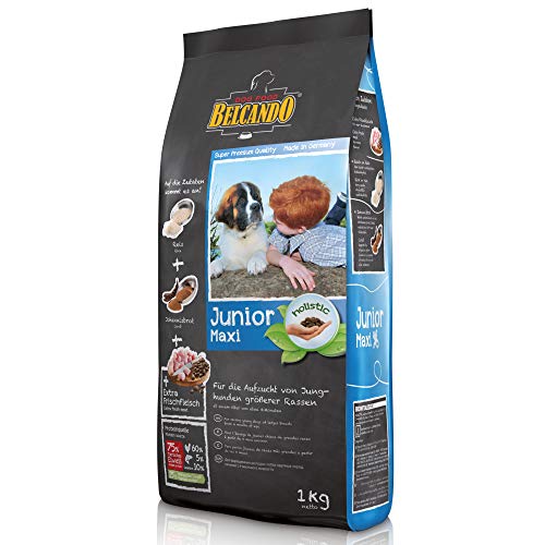 Belcando Junior Maxi [1 kg] Hundefutter | Trockenfutter für Junghunde großer Rassen | Alleinfuttermittel für Junghunde ab 4 Monaten von Belcando