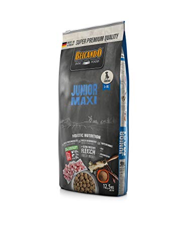 Belcando Junior Maxi [12,5 kg] Hundefutter | Trockenfutter für Junghunde großer Rassen | Alleinfuttermittel für Junghunde ab 4 Monaten von Belcando