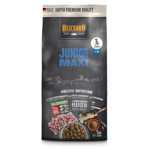 Belcando Junior Maxi Hundefutter | Trockenfutter für Junghunde großer Rassen | Alleinfuttermittel für Junghunde ab 4 Monaten (1 kg neu) von Belcando