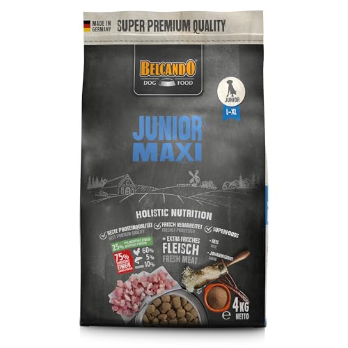 BELCANDO Junior Maxi [4 kg] Hundefutter | Trockenfutter für Junghunde großer Rassen | Alleinfuttermittel für Junghunde ab 4 Monaten von Belcando