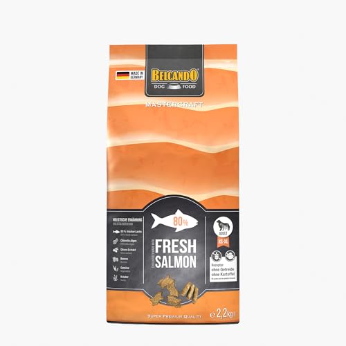 BELCANDO MASTERCRAFT Hundefutter trocken Fresh Salmon, 2,2kg, Trockenfutter für Hunde mit Lachs, 80% Frischfleisch, getreidefrei, für alle Rassen, Made in Germany von Belcando