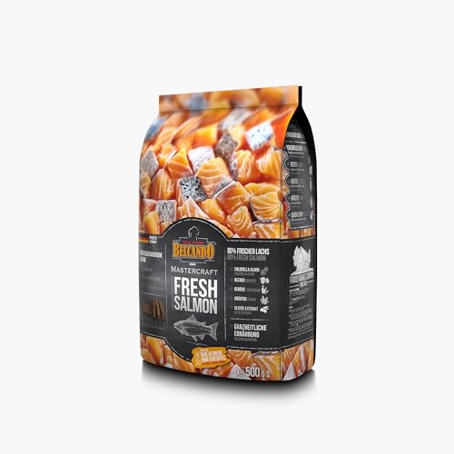 BELCANDO MASTERCRAFT Hundefutter trocken Fresh Salmon, 500g, Trockenfutter für Hunde mit Lachs, 80% Frischfleisch, getreidefrei, für alle Rassen, Made in Germany von Belcando