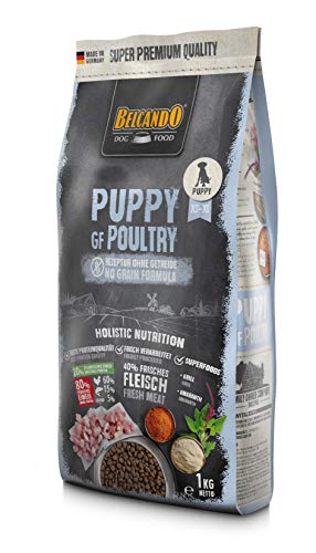 Belcando Puppy GF Poultry [1 kg] getreidefreies Welpenfutter | Welpenfutter ohne Getreide | Alleinfuttermittel für Welpen bis 4 Monate von Belcando