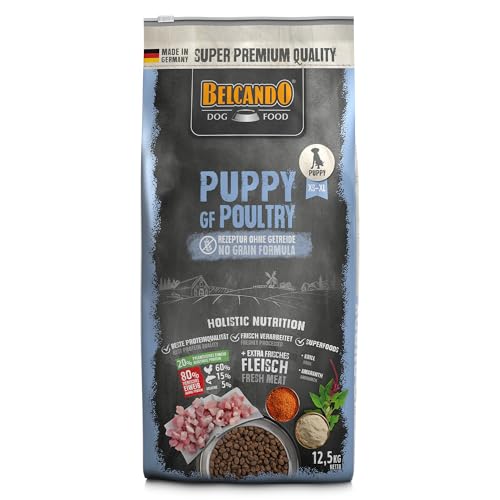 Belcando Puppy GF Poultry [12,5 kg] getreidefreies Welpenfutter | Welpenfutter ohne Getreide | Alleinfuttermittel für Welpen bis 4 Monate von Belcando