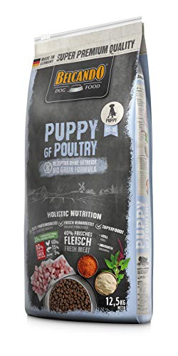 Belcando Puppy GF Poultry [12,5 kg] getreidefreies Welpenfutter | Welpenfutter ohne Getreide | Alleinfuttermittel für Welpen bis 4 Monate von Belcando