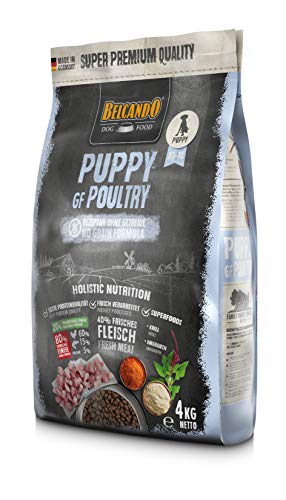 Belcando Puppy GF Poultry [4 kg] getreidefreies Welpenfutter | Welpenfutter ohne Getreide | Alleinfuttermittel für Welpen bis 4 Monate von Belcando
