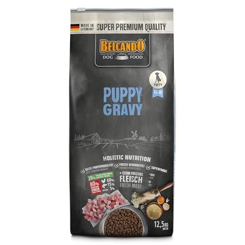 Belcando Puppy Gravy [12,5 kg] Welpenfutter | Trockenfutter für Welpen | Alleinfuttermittel für Welpen bis 4 Monate von Belcando