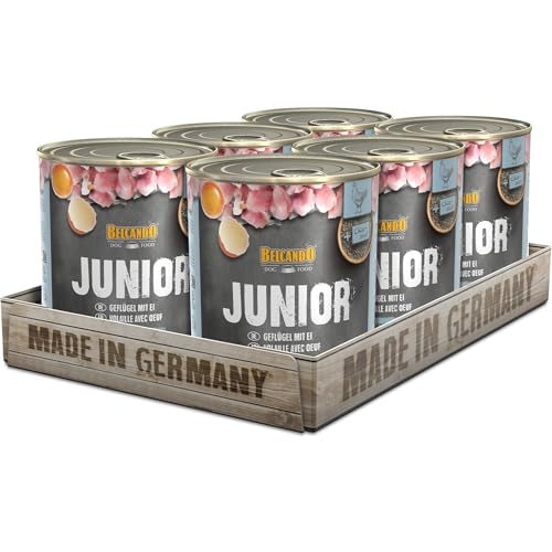 BELCANDO Nassfutter für Hunde, Junior Geflügel mit Ei, 6X 800g Dose, Hundefutter nass, für alle Rassen, Made in Germany von Belcando