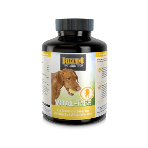 BELCANDO VITAL-Tabs für Hunde 120 Stück, Immunsystem Tabletten, Abwehrkräfte stärken, Nahrungsergänzung für Hunde mit Bierhefe und Vitamin C, Made in Germany von Belcando