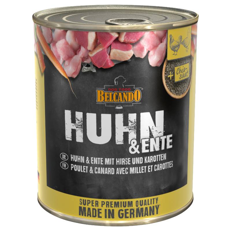 Sparpaket Belcando Super Premium: Belcando Nassfutter 24 x 800g - Huhn & Ente mit Hirse & Karotten von Belcando